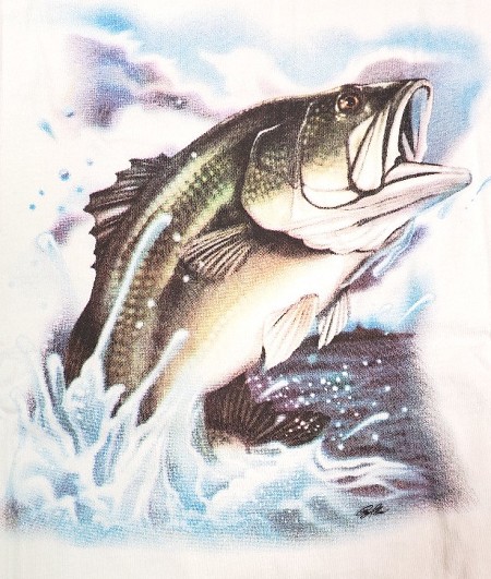 #187363. 3XL BIG. BASS Retail $  30.00 Short Slv Graphic Tee by BISCAYNE BAY. SHORT SLEEVE CREW TEE Whs A:  5